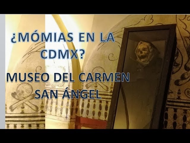Disfruta de la tranquilidad del Museo de El Carmen