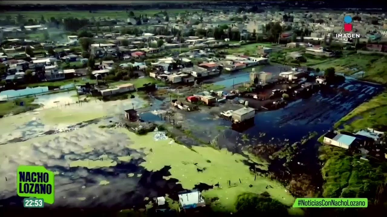 Navega por los tranquilos canales de Tláhuac